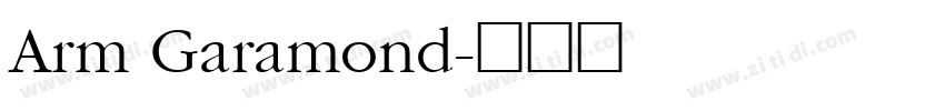 Arm Garamond字体转换